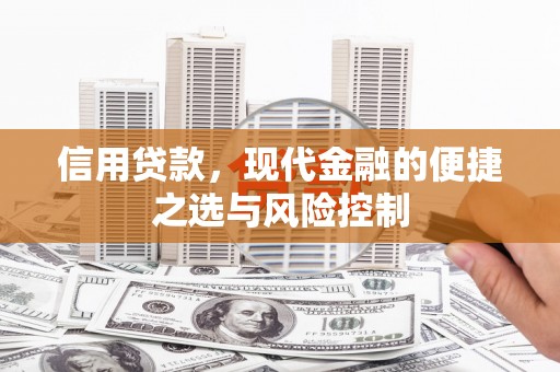 大城信用贷款，现代金融的便捷之选与风险控制