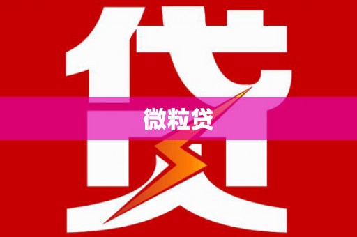 大城微粒贷