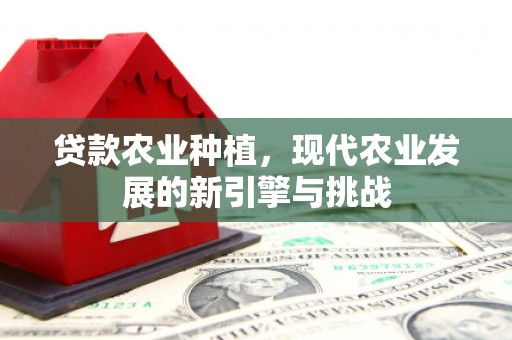 大城贷款农业种植，现代农业发展的新引擎与挑战