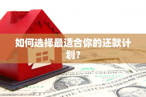 大城如何选择最适合你的还款计划？