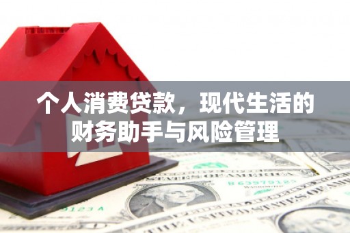 大城个人消费贷款，现代生活的财务助手与风险管理