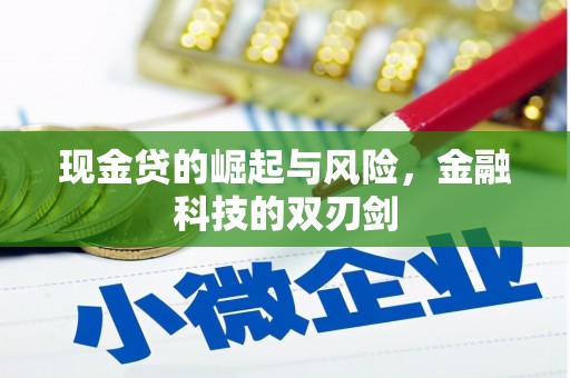 大城现金贷的崛起与风险，金融科技的双刃剑