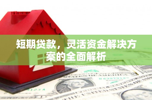 大城短期贷款，灵活资金解决方案的全面解析