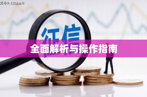 大城全面解析与操作指南