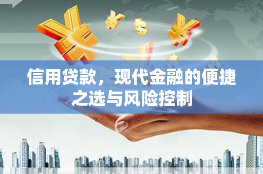 大城信用贷款，现代金融的便捷之选与风险控制