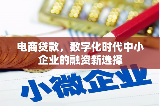 大城电商贷款，数字化时代中小企业的融资新选择