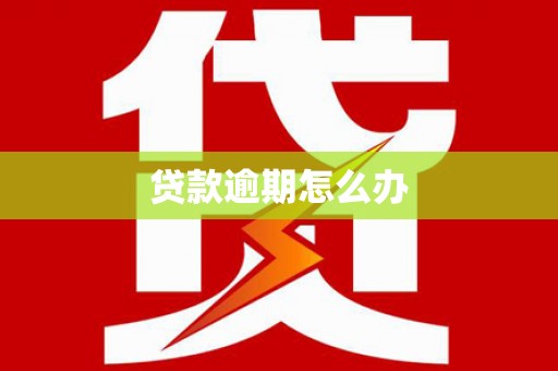 大城贷款逾期怎么办