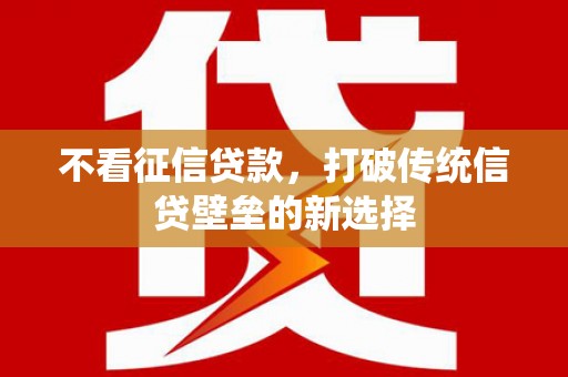 大城不看征信贷款，打破传统信贷壁垒的新选择