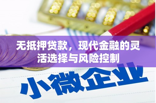 大城无抵押贷款，现代金融的灵活选择与风险控制