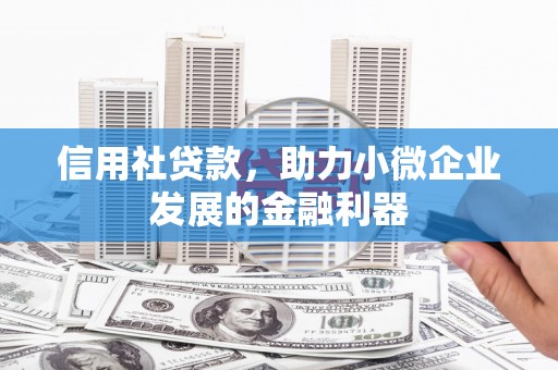 大城信用社贷款，助力小微企业发展的金融利器
