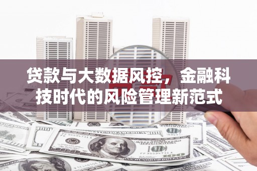 大城贷款与大数据风控，金融科技时代的风险管理新范式