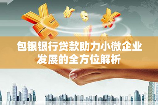 大城包银银行贷款助力小微企业发展的全方位解析