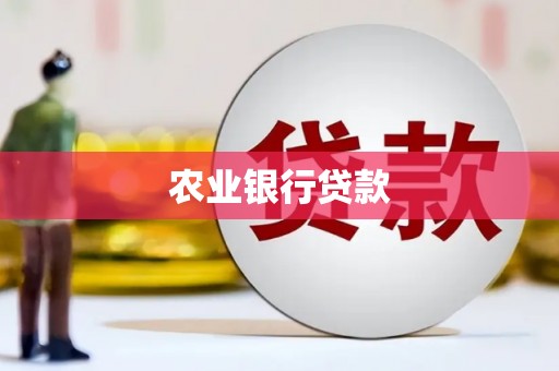 大城农业银行贷款