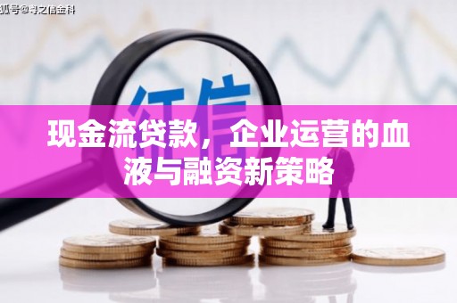 大城现金流贷款，企业运营的血液与融资新策略