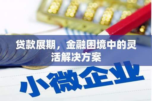 大城贷款展期，金融困境中的灵活解决方案