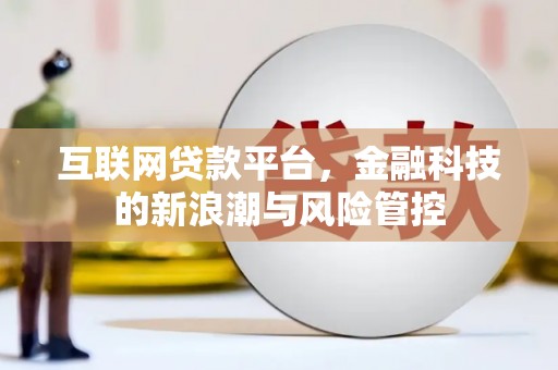 大城互联网贷款平台，金融科技的新浪潮与风险管控