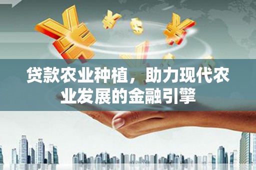 大城贷款农业种植，助力现代农业发展的金融引擎