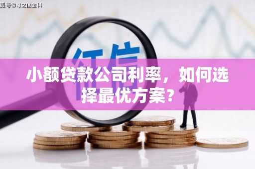 大城小额贷款公司利率，如何选择最优方案？