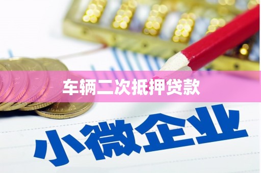 大城车辆二次抵押贷款