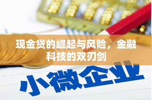 大城现金贷的崛起与风险，金融科技的双刃剑