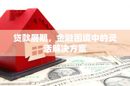 大城贷款展期，金融困境中的灵活解决方案