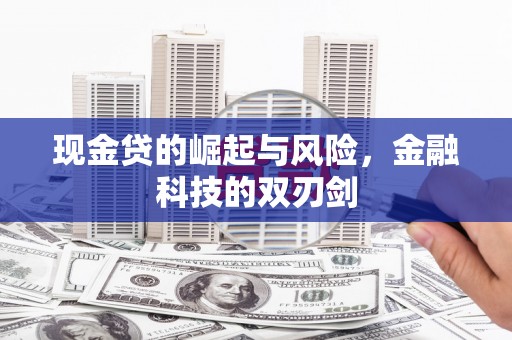 大城现金贷的崛起与风险，金融科技的双刃剑