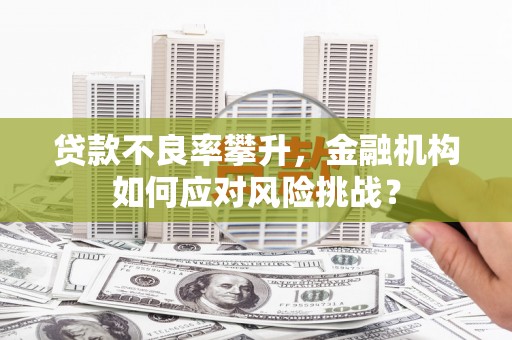 大城贷款不良率攀升，金融机构如何应对风险挑战？