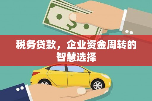 大城税务贷款，企业资金周转的智慧选择