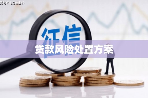 大城贷款风险处置方案