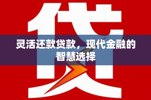大城灵活还款贷款，现代金融的智慧选择