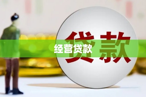 大城经营贷款