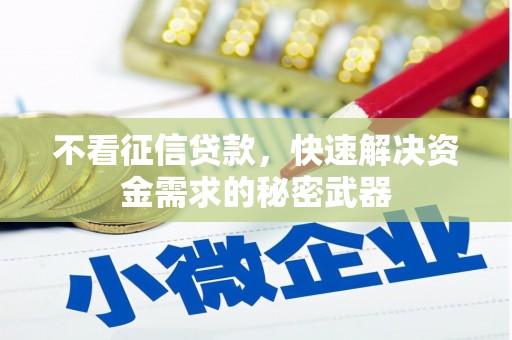 大城不看征信贷款，快速解决资金需求的秘密武器