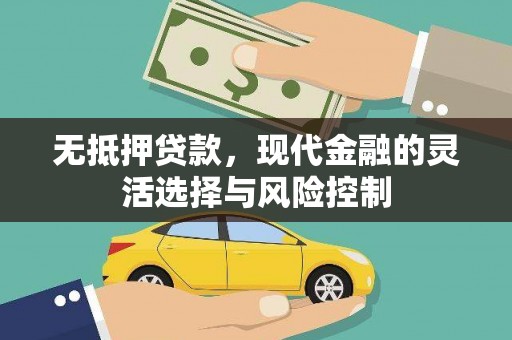 大城无抵押贷款，现代金融的灵活选择与风险控制