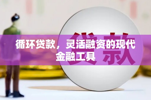 大城循环贷款，灵活融资的现代金融工具