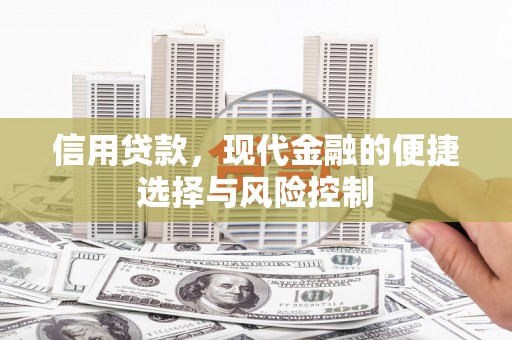 大城信用贷款，现代金融的便捷选择与风险控制