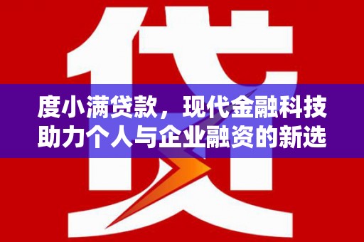 大城度小满贷款，现代金融科技助力个人与企业融资的新选择