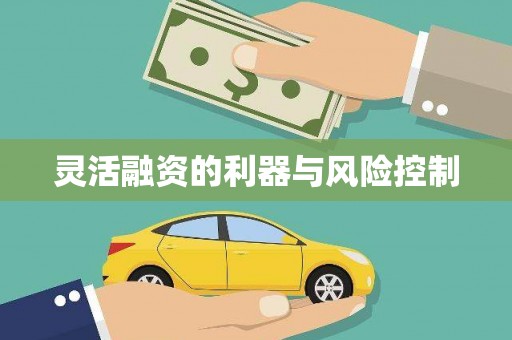 大城灵活融资的利器与风险控制