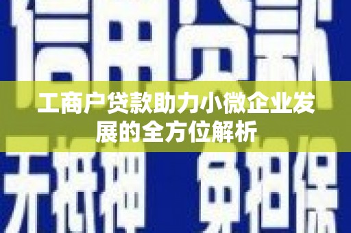 大城工商户贷款助力小微企业发展的全方位解析