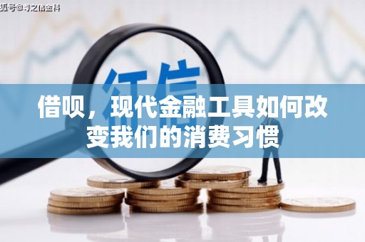 大城借呗，现代金融工具如何改变我们的消费习惯