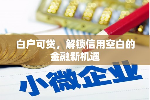 大城白户可贷，解锁信用空白的金融新机遇