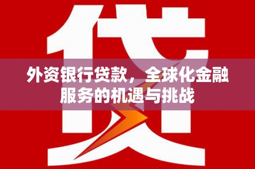 大城外资银行贷款，全球化金融服务的机遇与挑战