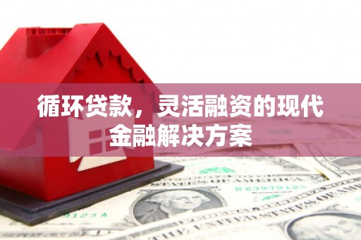 大城循环贷款，灵活融资的现代金融解决方案