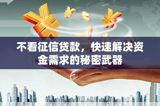 大城不看征信贷款，快速解决资金需求的秘密武器