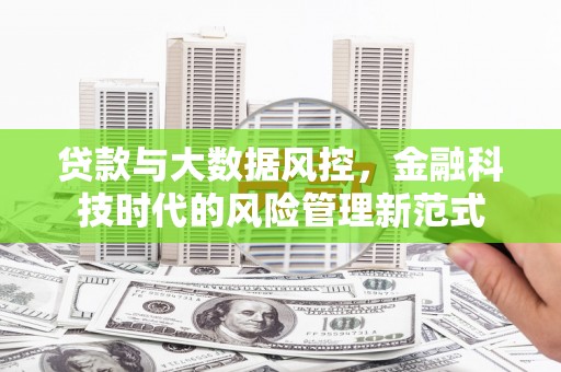 大城贷款与大数据风控，金融科技时代的风险管理新范式