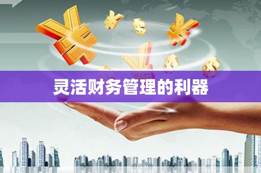 大城灵活财务管理的利器