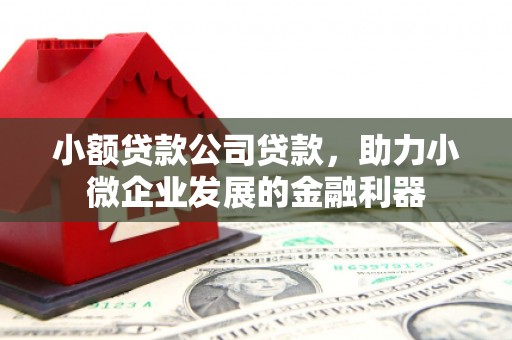 大城小额贷款公司贷款，助力小微企业发展的金融利器