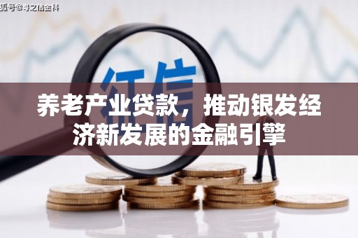 大城养老产业贷款，推动银发经济新发展的金融引擎