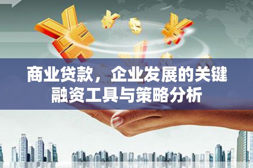 大城商业贷款，企业发展的关键融资工具与策略分析