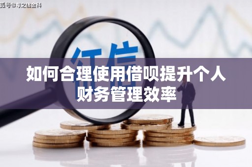 大城如何合理使用借呗提升个人财务管理效率