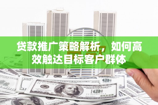 大城贷款推广策略解析，如何高效触达目标客户群体